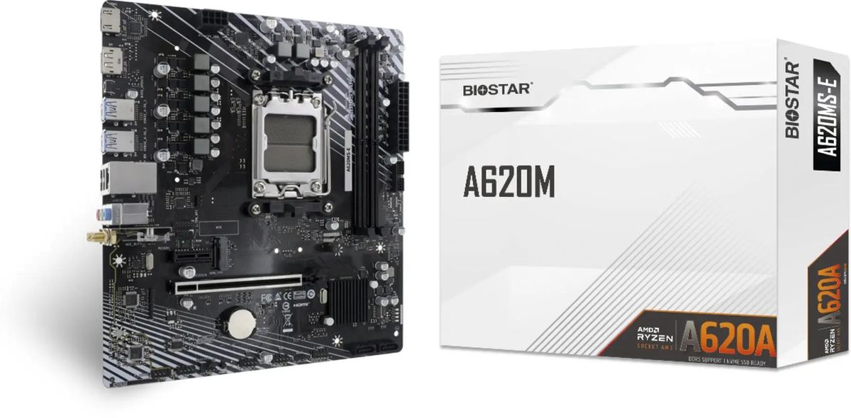 Материнская плата Biostar A620MS-E