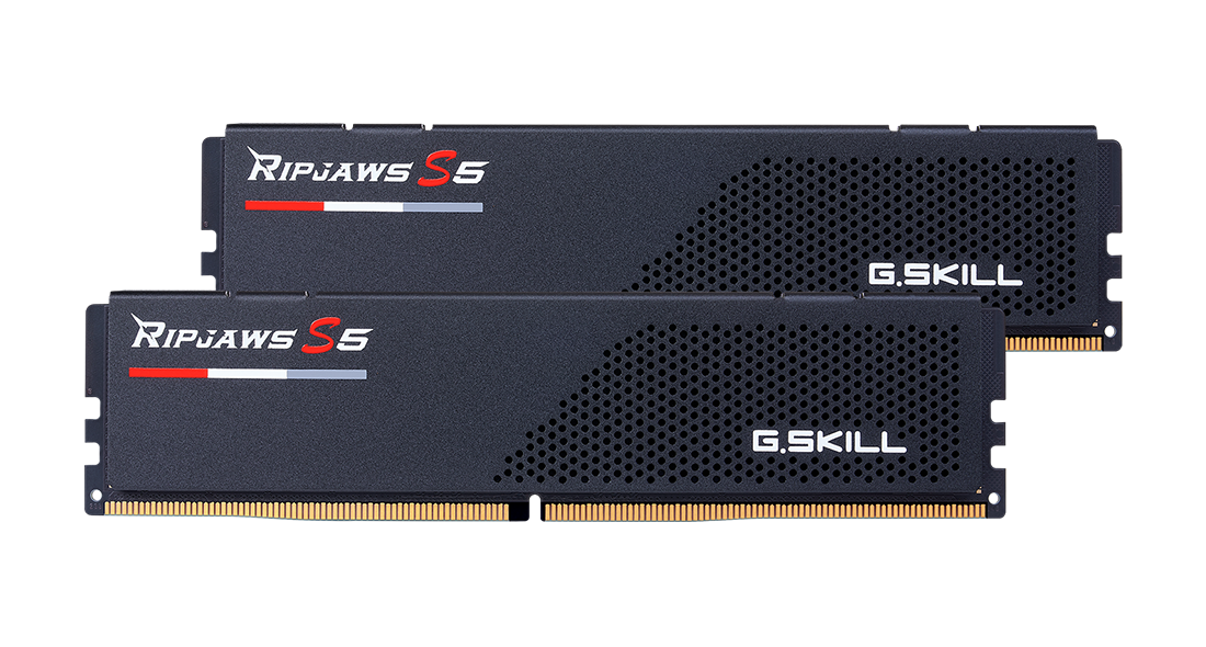 Модуль памяти 32Gb (2*16Gb) G.Skill Ripjaws S5 (F5-6000J3036F16GX2-RS5K)